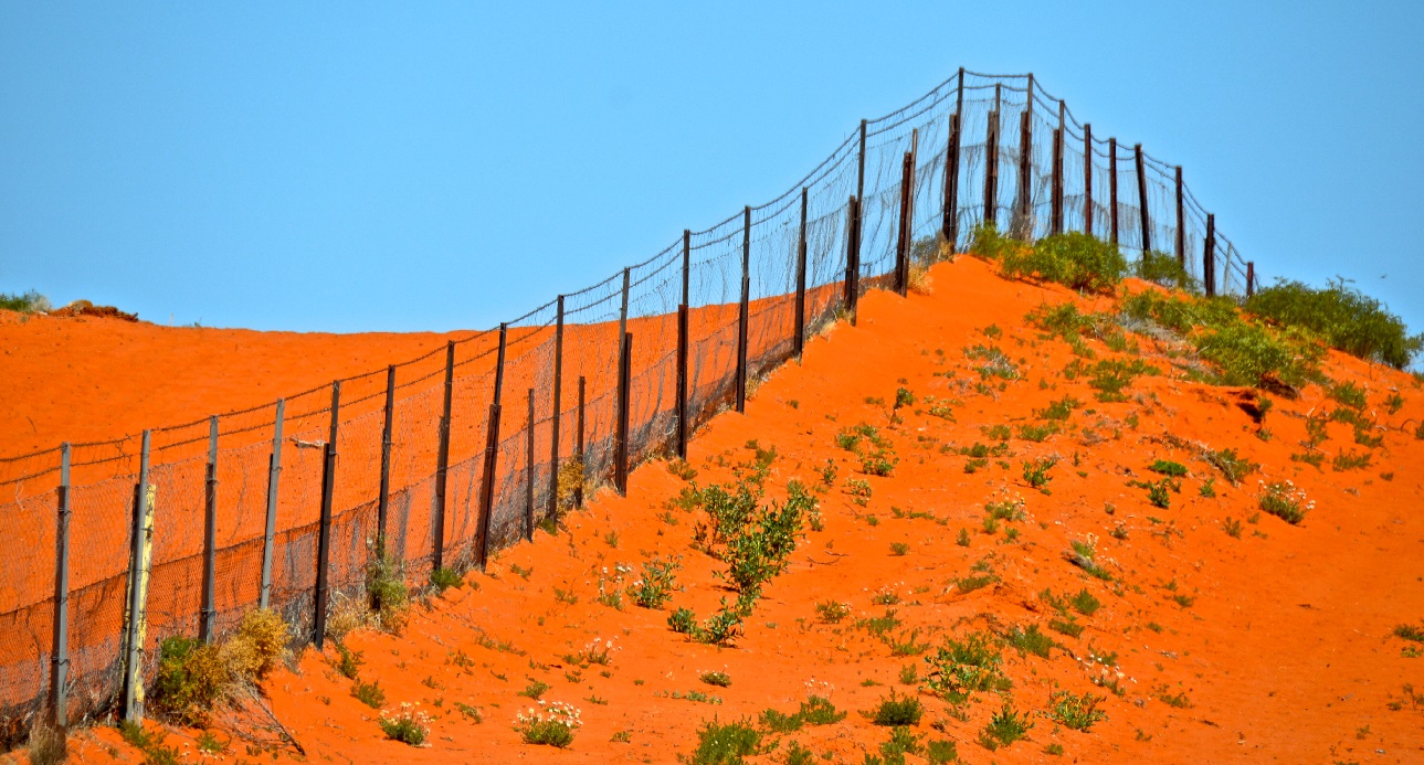 pagar terpanjang di dunia